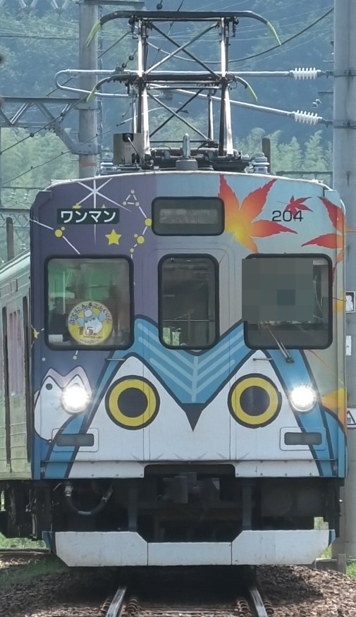 紅葉と星が描かれた忍者列車（204号車）の前面