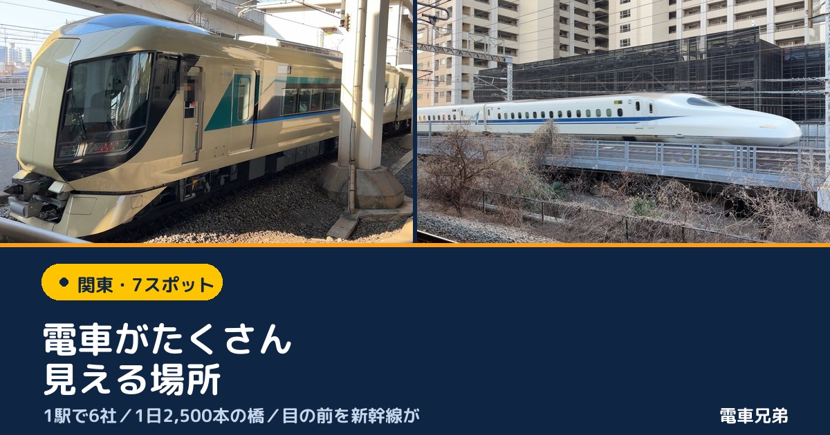 関東で電車がたくさん見える場所