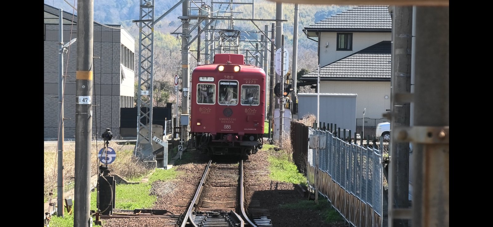 和歌山電鐵 貴志川線を走る「うめ星電車」