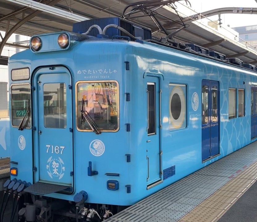 南海めでたいでんしゃ「かい」。水色の車体の7100系