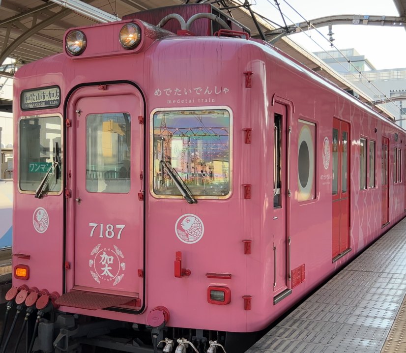 南海めでたいでんしゃ「さち」。ピンク色の車体に魚のマークがついた7100系