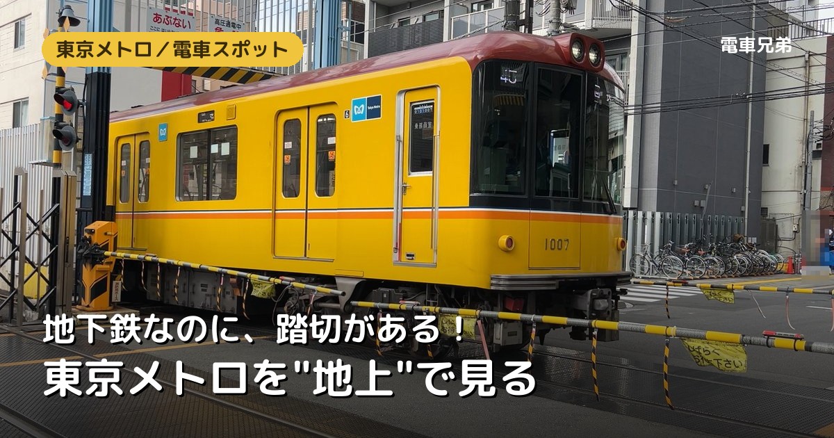 地下鉄なのに外を走る！東京メトロが"地上"で見られる場所まとめ【子連れ実体験】