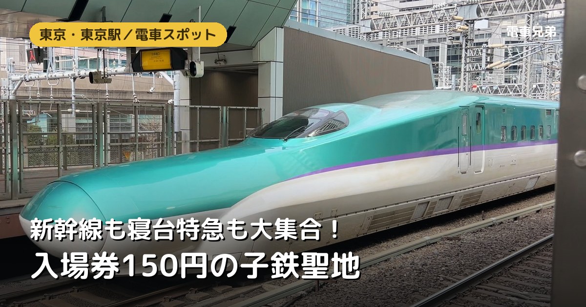 東京駅｜入場券150円で新幹線大集合！サンライズも連結シーンも見られる子鉄の聖地【実体験】