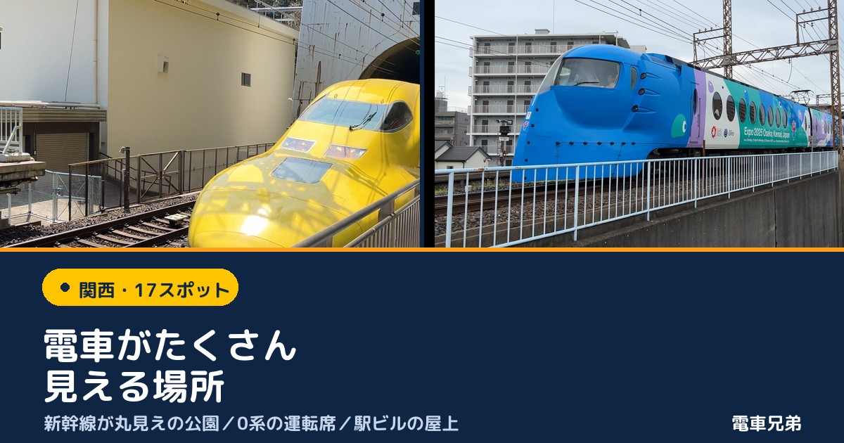 関西で電車がたくさん見える場所
