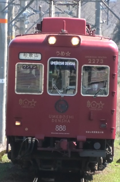 和歌山電鐵 うめ星電車